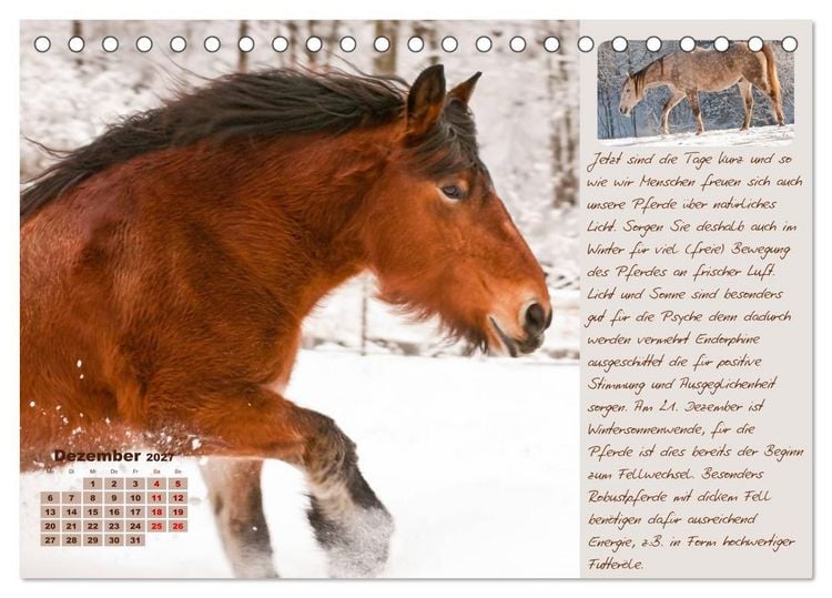 Produktbild: Pferdehaltung Tipps und Wissenswertes (Tischkalender 2027 DIN A5 quer), CALVENDO Monatskalender