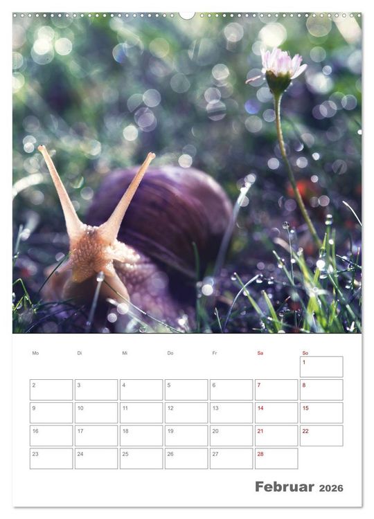 Produktbild: Helden in der Natur (Wandkalender 2026 DIN A2 hoch), CALVENDO Monatskalender