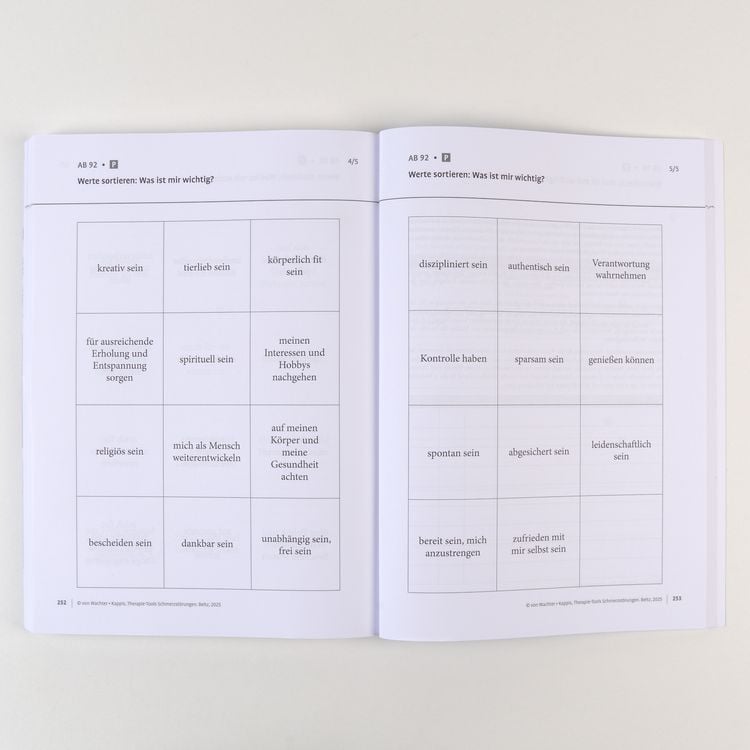 Produktbild: Therapie-Tools Schmerzst&ouml;rungen