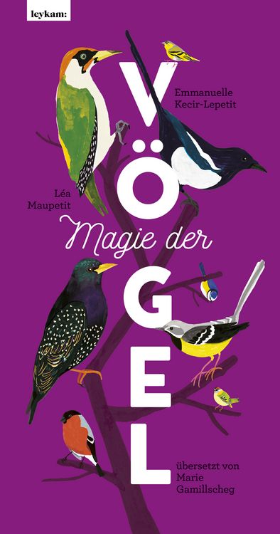 Produktbild: Magie der V&ouml;gel