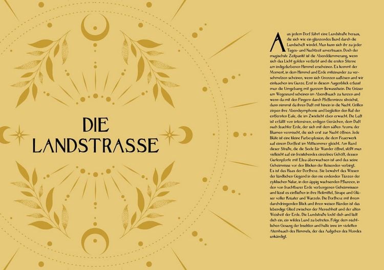 Produktbild: Kr&auml;uterkraft & Hexenmacht