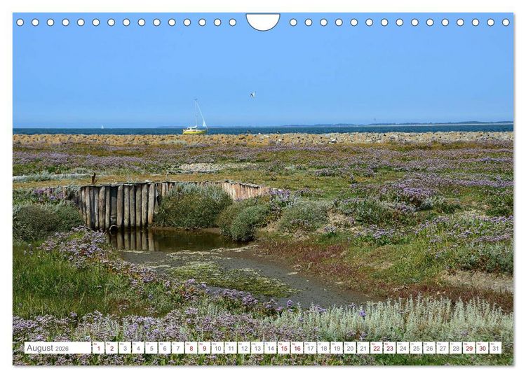 Produktbild: Sommertage auf Langeness (Wandkalender 2026 DIN A4 quer), CALVENDO Monatskalender