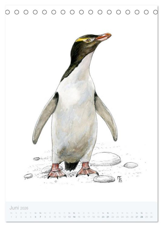 Produktbild: Pinguine - 13 Illustrationen (Tischkalender 2026 DIN A5 hoch), CALVENDO Monatskalender