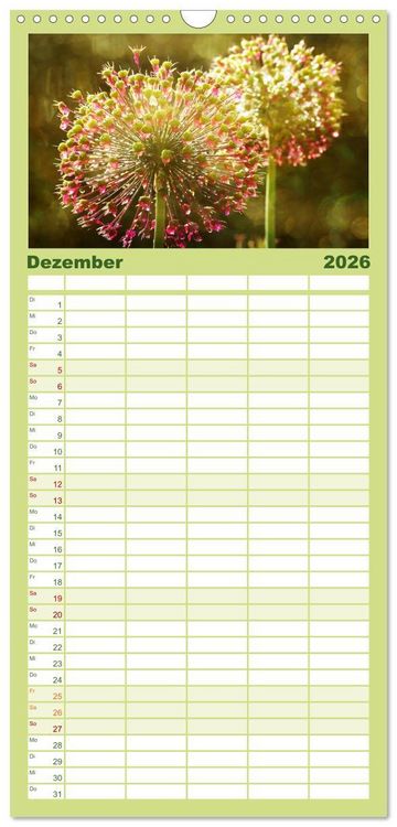 Produktbild: Familienplaner 2026 - 12 Farben Kunst und K&uuml;che mit 5 Spalten (Wandkalender, 21 x 45 cm) CALVENDO
