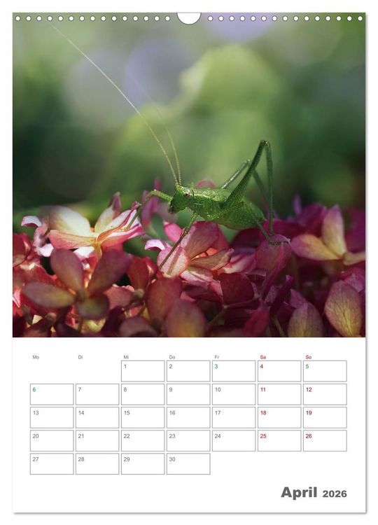Produktbild: Helden in der Natur (Wandkalender 2026 DIN A3 hoch), CALVENDO Monatskalender