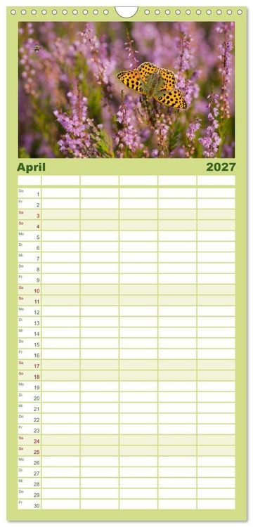 Produktbild: Familienplaner 2027 - Romantische Heidebl&uuml;te mit 5 Spalten (Wandkalender, 21 x 45 cm) CALVENDO
