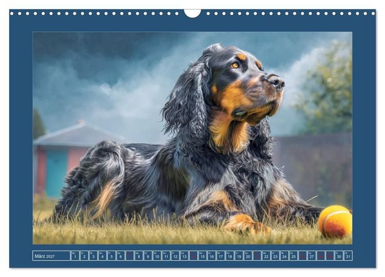 Produktbild: Gordon Setter. Edle Seelen in der Natur (Wandkalender 2027 DIN A3 quer), CALVENDO Monatskalender