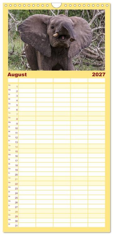 Produktbild: Familienplaner 2027 - Afrikas Tierwelt: Elefantenbabys mit 5 Spalten (Wandkalender, 21 x 45 cm) CALVENDO
