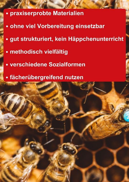 Produktbild: Themenheft Unsere Bienen