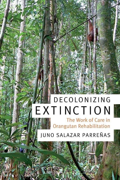 Produktbild: Decolonizing Extinction