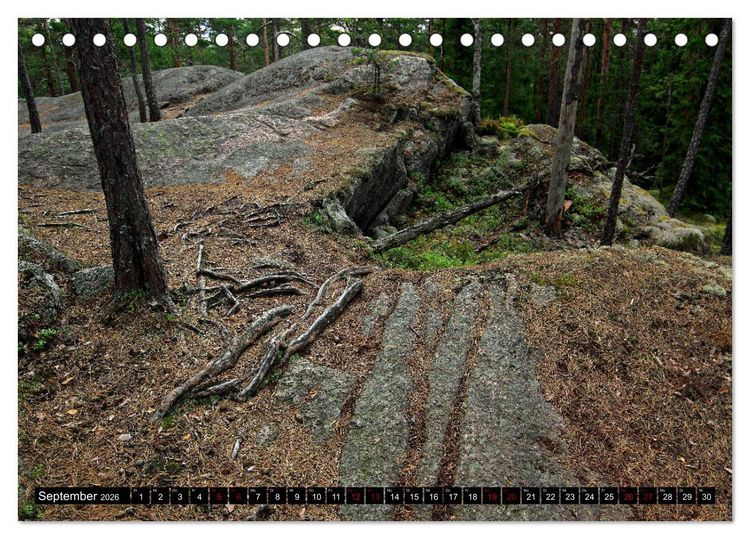 Produktbild: Tiveden, der NatURWALD in Schweden (Tischkalender 2026 DIN A5 quer), CALVENDO Monatskalender