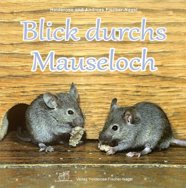 Produktbild: Blick durchs Mauseloch