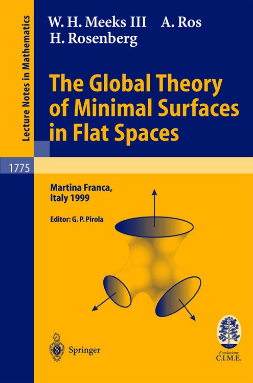 Bild vom Artikel The Global Theory of Minimal Surfaces in Flat Spaces vom Autor W.H. III Meeks
