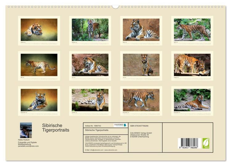 Produktbild: Sibirische Tigerportraits (hochwertiger Premium Wandkalender 2026 DIN A2 quer), Kunstdruck in Hochglanz