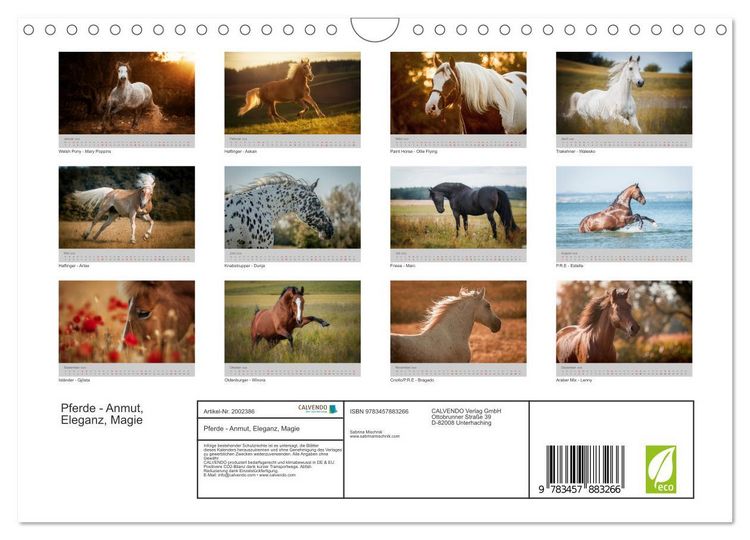 Produktbild: Pferde - Anmut, Eleganz, Magie (Wandkalender 2026 DIN A4 quer), CALVENDO Monatskalender