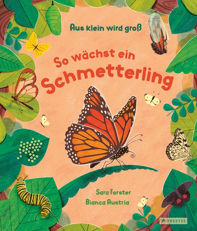 Produktbild: Aus klein wird gro&szlig;. So w&auml;chst ein Schmetterling
