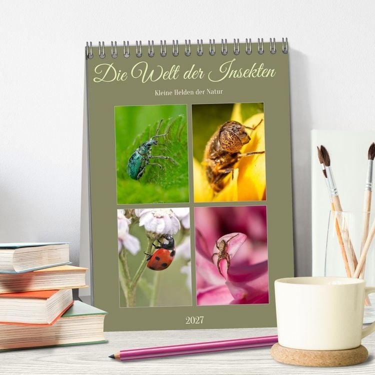 Produktbild: Die Welt der Insekten (Tischkalender 2027 DIN A5 hoch), CALVENDO Monatskalender