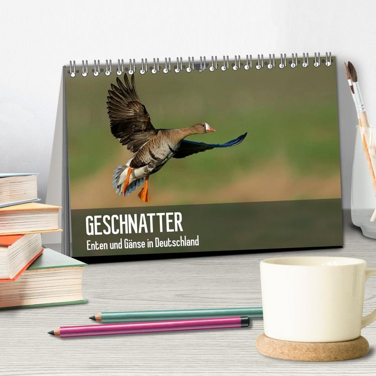 Produktbild: Geschnatter - Enten und G&auml;nse in Deutschland (Tischkalender 2026 DIN A5 quer), CALVENDO Monatskalender