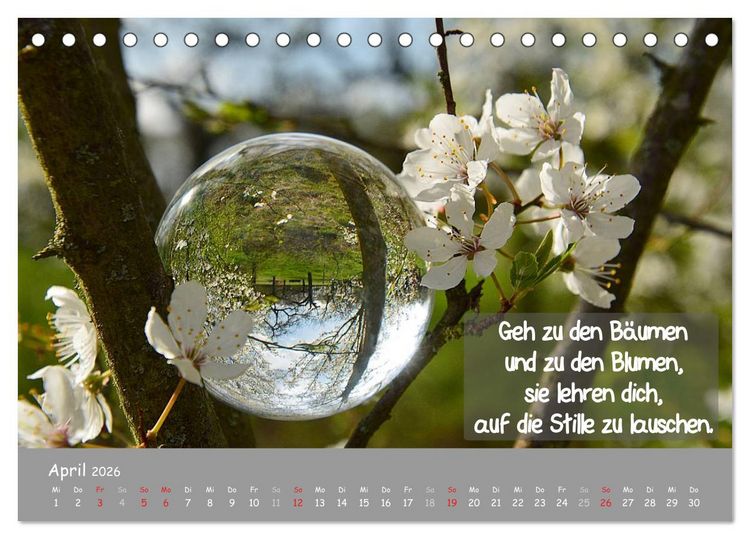 Produktbild: Wunderbare Waldkugeln (Tischkalender 2026 DIN A5 quer), CALVENDO Monatskalender