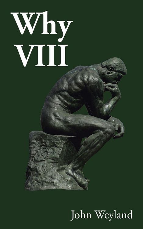 Produktbild: Why Viii