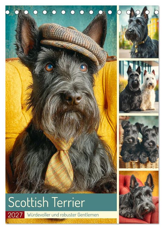 Produktbild: Scottish Terrier. W&uuml;rdevoller und robuster Gentlemen (Tischkalender 2027 DIN A5 hoch), CALVENDO Monatskalender