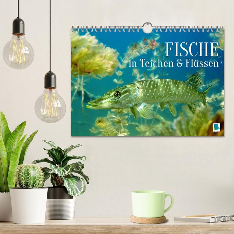Produktbild: Fische in Teichen und Fl&uuml;ssen (Wandkalender 2026 DIN A4 quer), CALVENDO Monatskalender