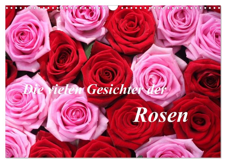 Produktbild: Die vielen Gesichter der Rosen (Wandkalender 2026 DIN A3 quer), CALVENDO Monatskalender