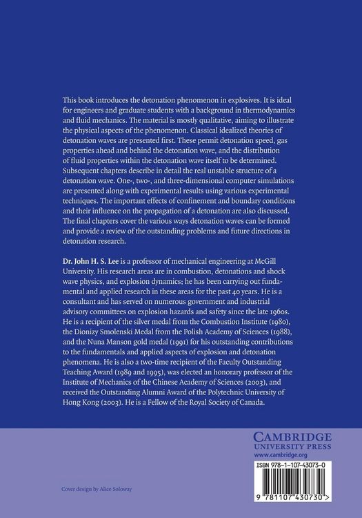 Produktbild: The Detonation Phenomenon