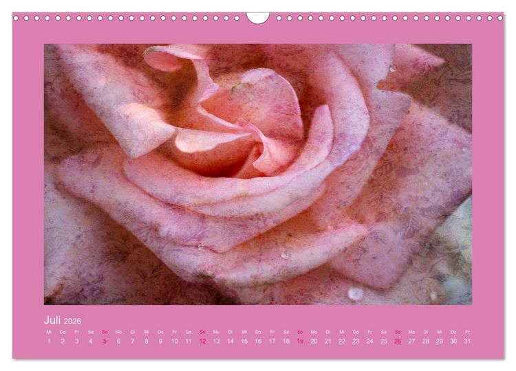 Produktbild: Romantische Rosen (Wandkalender 2026 DIN A3 quer), CALVENDO Monatskalender
