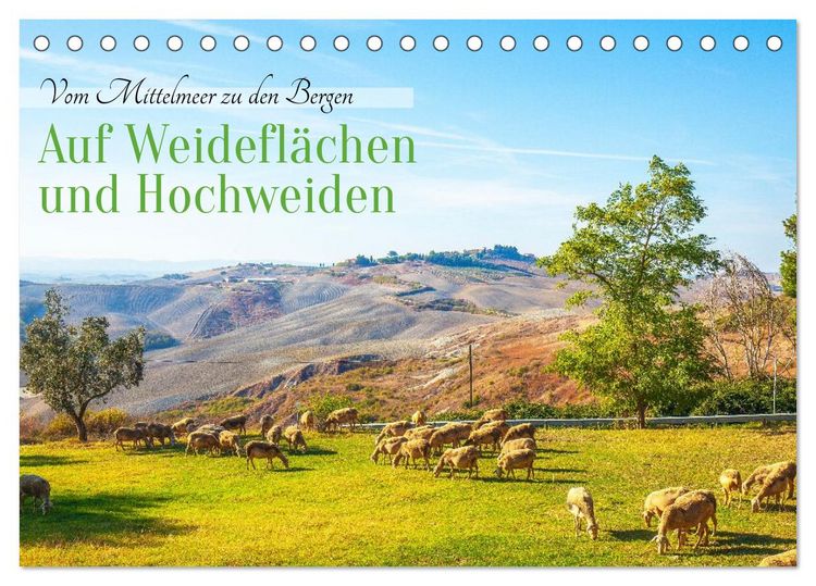 Produktbild: Auf Weidefl&auml;chen und Hochweiden (Tischkalender 2026 DIN A5 quer), CALVENDO Monatskalender