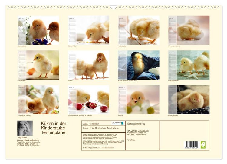 Produktbild: K&uuml;ken in der Kinderstube Terminplaner (Wandkalender 2026 DIN A2 quer), CALVENDO Monatskalender