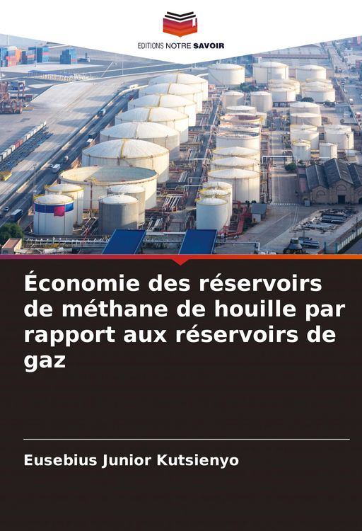 Produktbild: &Eacute;conomie des r&eacute;servoirs de m&eacute;thane de houille par rapport aux r&eacute;servoirs de gaz
