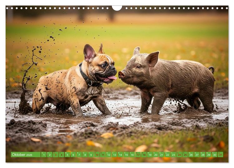 Produktbild: Muddi Buddies &ndash; Freundschaft im Matsch (Wandkalender 2026 DIN A3 quer), CALVENDO Monatskalender
