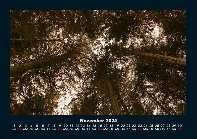 Produktbild: Bilder der Natur 2025 Fotokalender DIN A4