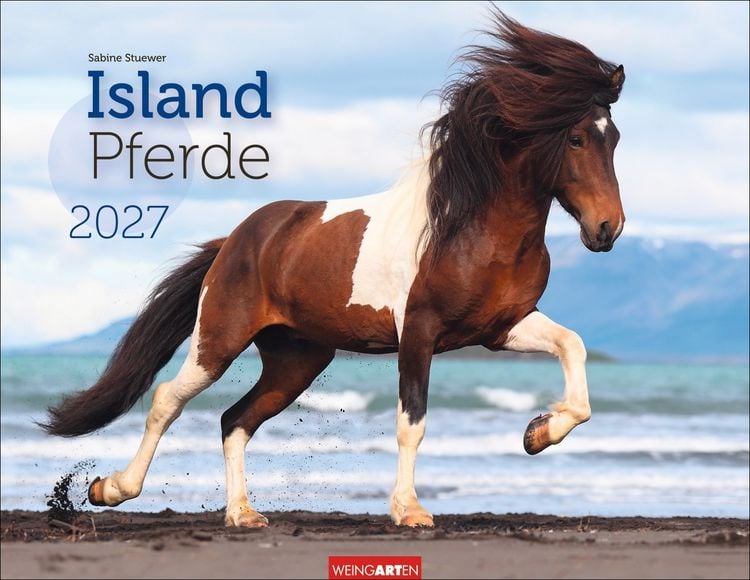 Produktbild: Islandpferde Kalender 2027