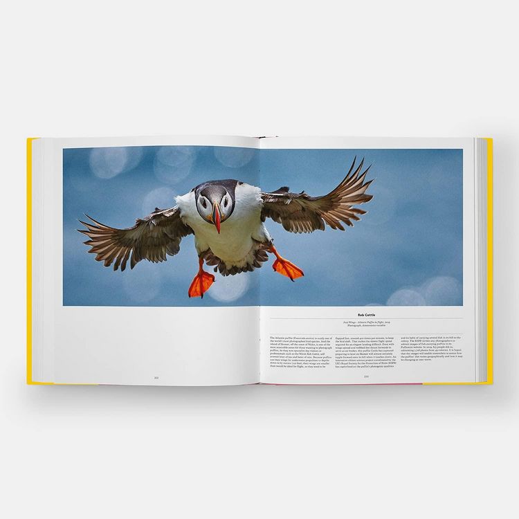 Produktbild: Bird: Exploring the Winged World