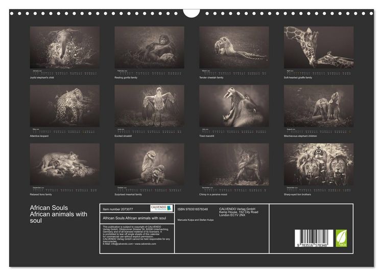 Produktbild: African Souls African animals with soul (Wall Calendar 2026 DIN A3 landscape), CALVENDO 12 Month Wall Calendar
