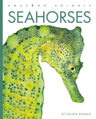 Produktbild: Seahorses