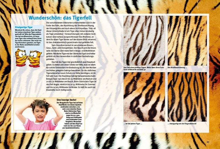 Produktbild: Entdecke die Tiger