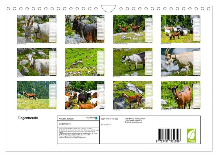 Produktbild: Ziegenfreude (Wandkalender 2026 DIN A4 quer), CALVENDO Monatskalender