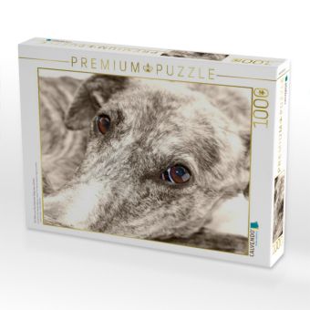 Produktbild: CALVENDO Puzzle Ein Motiv aus dem Kalender Galgo eye-catcher | 1000 Teile Lege-Gr&ouml;&szlig;e 64x48cm Foto-Puzzle f&uuml;r gl&uuml;ckliche Stunden