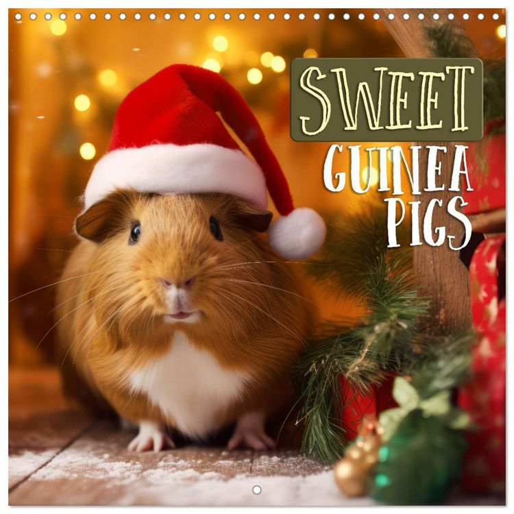 Produktbild: Sweet GUINEA PIGS (Wall Calendar 2026 12 &times; 12 Inch) CALVENDO 12 Month Wall Calendar