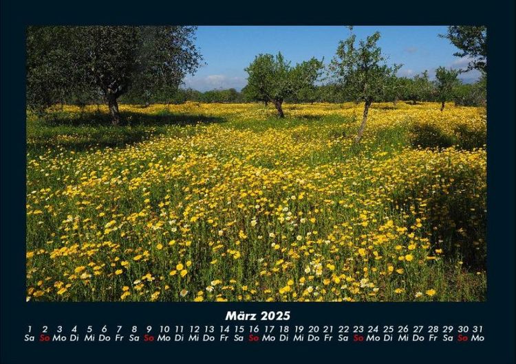 Produktbild: Blumenkalender 2025 Fotokalender DIN A4