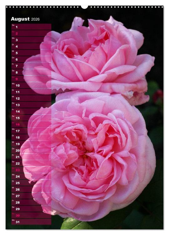 Produktbild: Rosen f&uuml;r DICH / Geburtstagskalender (hochwertiger Premium Wandkalender 2026 DIN A2 hoch), Kunstdruck in Hochglanz