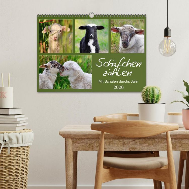 Produktbild: Sch&auml;fchen z&auml;hlen - Mit Schafen durchs Jahr (Wandkalender 2026 DIN A3 quer), CALVENDO Monatskalender