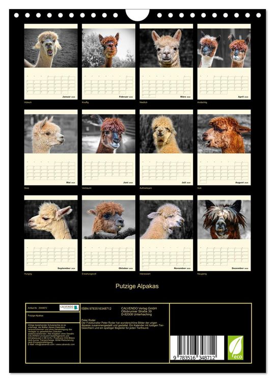 Produktbild: Putzige Alpakas (Wandkalender 2026 DIN A4 hoch), CALVENDO Monatskalender