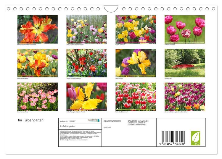 Produktbild: Im Tulpengarten (Wandkalender 2026 DIN A4 quer), CALVENDO Monatskalender