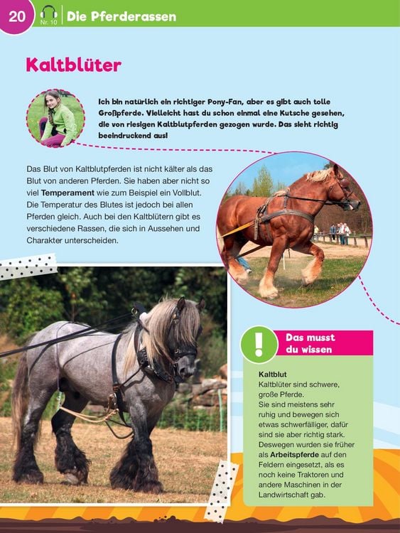 Produktbild: Leselauscher Wissen: Pferde und Ponys