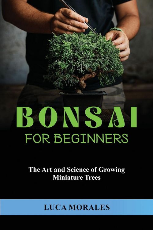 Produktbild: Bonsai for Beginners