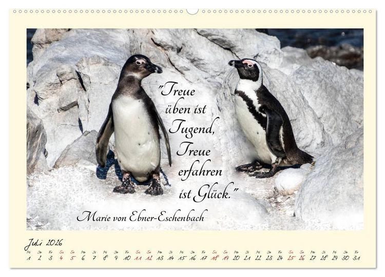 Produktbild: Gl&uuml;cksmomente Gl&uuml;cks-Zitate zu Fotos der gro&szlig;artigen s&uuml;dafrikanischen Tierwelt (hochwertiger Premium Wandkalender 2026 DIN A2 quer), Kunstdruck in Hochglanz